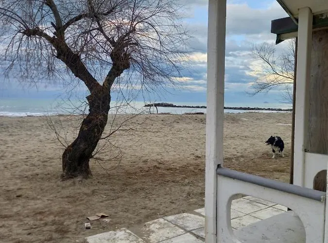 Katia's Quiet Little *